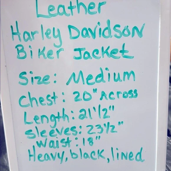 Harley-Davidson Women’s Medium Leather Jacket Custom Hand Painted Back